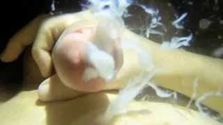 Young Boy Cum Compilation 2