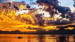 Precum-Extraktion mit einer öligen asiatischen Schwanz-Massage in einer Nahaufnahme