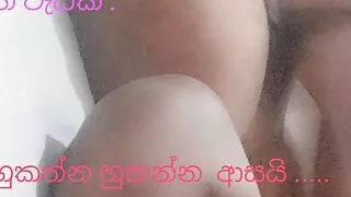 Sri Sri lankan shetyyy black chubby pussy new video