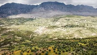 Heiße Schwänze und Eier mit einem öligen Handjob von einem gutaussehenden Heterosexuellen