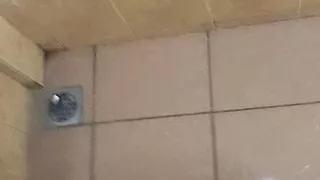 Horny in the toilet