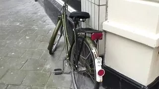 Stranger Fucks a Hot Dutch Brunette Maid that Loves Anal