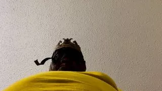 Found an old tshirt. My Brazilian Soccer shirt.