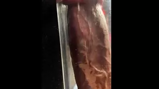 Veiny Cock in Penis Pump Up Close