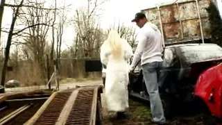 Only Internal 9 - Episode #05