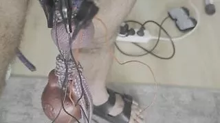 Penis torture