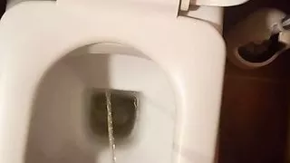 Peeing in the toilet