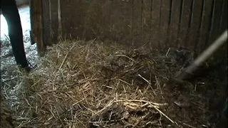 Der Sadisten-Zirkel 10 (Full Movie)