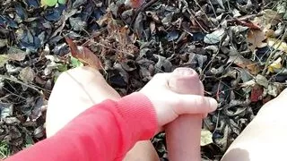 Outdoor cumshot on dry leaves ( autumn outdoor )