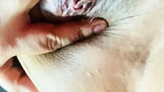 That's how my shell gets when I think of you Preciusrouss49