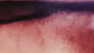 Twink Junge zeigen großen fetten Arsch und ficken zum ersten Mal großes Alter schwarzer Dildo schön großen weißen Arsch zeigen und ficken.